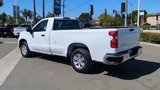 Used 2024 Chevrolet Silverado 1500 W/T w/ WT Fleet Convenience Package image 6