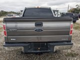 Used 2013 Ford F150 XLT image 5