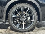 New 2025 INFINITI QX55 Luxe w/ Cargo Package image 3