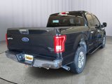 Used 2015 Ford F150 XLT w/ Equipment Group 302A Luxury image 5