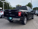 Used 2020 Ford F150 XLT w/ Equipment Group 302A Luxury image 3