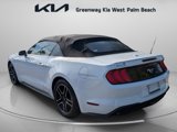 Used 2019 Ford Mustang Premium image 6