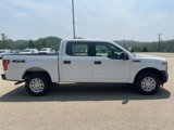 Used 2017 Ford F150 XL w/ Equipment Group 101A Mid image 5