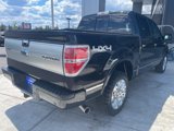 Used 2014 Ford F150 Limited image 5