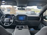 Used 2024 Ford F150 XLT image 3