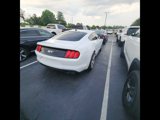 Used 2022 Ford Mustang GT Premium w/ Security Package image 2