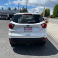 Used 2019 Ford Escape Titanium image 4