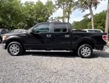 Used 2013 Ford F150 XLT w/ XLT Chrome Pkg image 2
