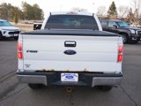 Used 2014 Ford F150 XLT w/ XLT Chrome Package image 6