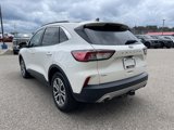 Used 2022 Ford Escape SEL image 5