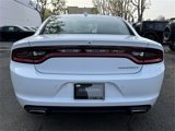 Used 2023 Dodge Charger SXT w/ Cold Weather Package image 4
