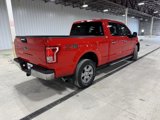 Used 2016 Ford F150 XLT image 6
