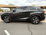 Used 2021 Lexus NX 300h AWD w/ Premium Package image 6