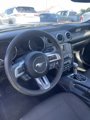 Used 2016 Ford Mustang Coupe w/ Equipment Group 051A image 5