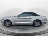 Used 2016 Ford Mustang Premium image 2