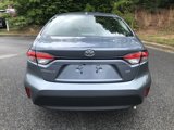 Certified 2023 Toyota Corolla LE image 5