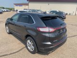 Used 2016 Ford Edge SEL w/ Equipment Group 201A image 5