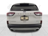 Used 2021 Ford Escape Titanium image 4