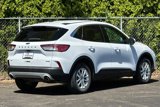 Used 2020 Ford Escape SE image 4