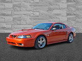 Used 1999 Ford Mustang GT image 5