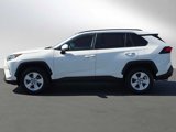 Used 2019 Toyota RAV4 XLE image 6