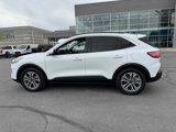 Certified 2021 Ford Escape SEL w/ Class II Trailer Tow Package image 3