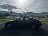 Used 2024 Hyundai Sonata Limited image 2