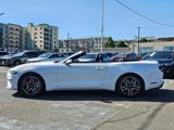 Used 2020 Ford Mustang Premium image 4