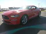 Used 2019 Ford Mustang Premium w/ Pony Package image 4