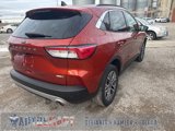 Used 2020 Ford Escape SEL image 5