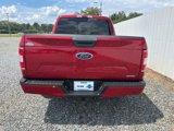 Used 2020 Ford F150 XLT w/ Equipment Group 302A Luxury image 4
