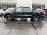 Certified 2022 Ford F150 w/ Tremor Package image 3