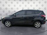 Used 2015 Ford Escape Titanium image 2
