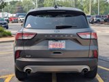 Used 2021 Ford Escape SE w/ Convenience Package image 4
