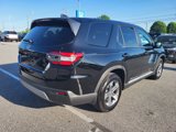 Certified 2025 Honda Pilot EX-L image 3