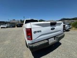Used 2017 Ford F150 XL w/ Equipment Group 101A Mid image 5