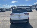 Certified 2022 Ford Escape Titanium image 5