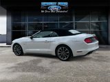 Used 2015 Ford Mustang GT Premium w/ Equipment Group 401A image 3