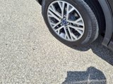 Used 2022 Ford Escape SEL w/ Technology Package image 4