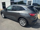 Used 2020 Ford Escape SE image 4
