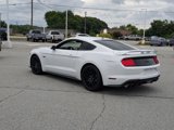 Certified 2019 Ford Mustang GT Premium w/ GT Performance Package image 5