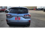 Used 2022 Ford Escape SE w/ SE Sport Appearance Package image 6