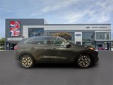 Used 2020 Ford Escape Titanium image 2