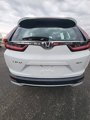 Used 2022 Honda CR-V Special Edition image 5