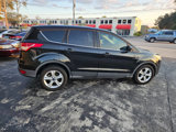 Used 2014 Ford Escape SE image 5