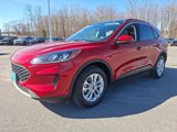 Certified 2021 Ford Escape SE image 3