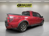 Used 2011 Ford F150 FX4 w/ FX Luxury Pkg image 5
