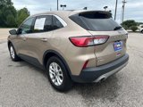Used 2021 Ford Escape SE w/ Cold Weather Package image 2