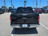 Certified 2016 Ford F150 XLT w/ Equipment Group 302A Luxury image 5