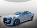 Certified 2022 Cadillac CT5 Premium Luxury image 3